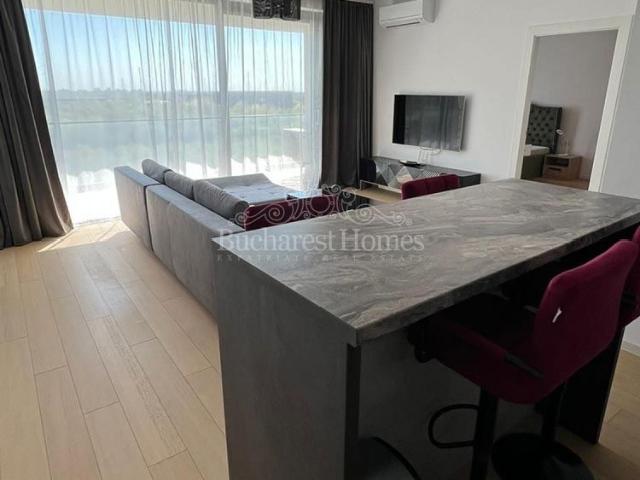 Comfortable One Bedroom Flat Ivy Residence Baneasa