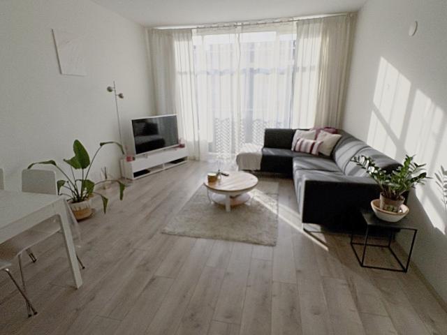 comfortable room in Amsterdam West