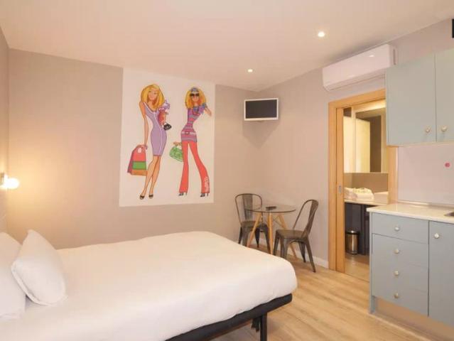 Comfortable studio apartment for rent in Barri Gotic area