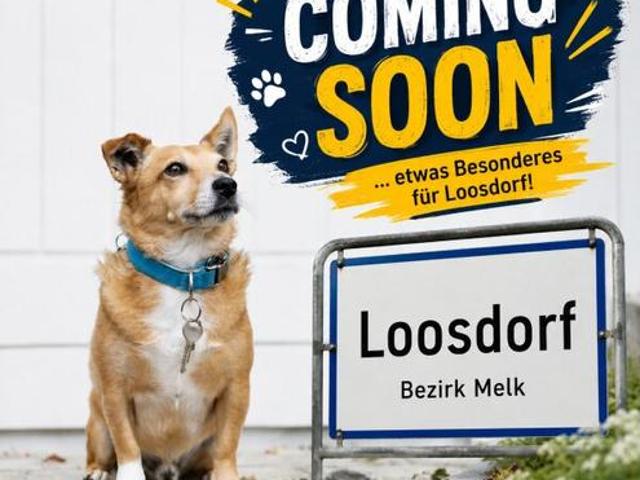 COMING SOON! Neuwertiger Bungalow in Loosdorf barrierefrei!