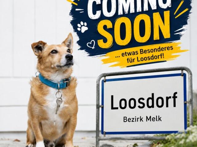 COMING SOON! Neuwertiger Bungalow in Loosdorf barrierefrei!