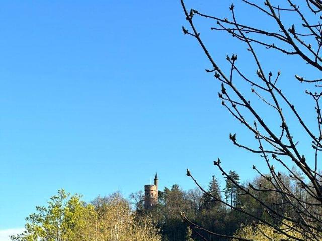 COMING SOON RESIDENZEN AN DER TRAUN AB JETZT RESERVIEREN