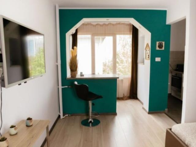 COMISION 0% | Apartament 1 Camera | Take Ionescu Medicina | Mobilat
