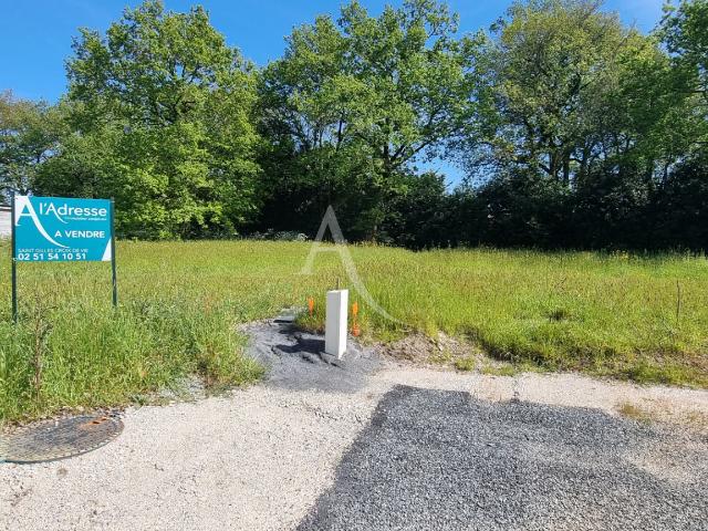 Commequiers Vente Terrain 85