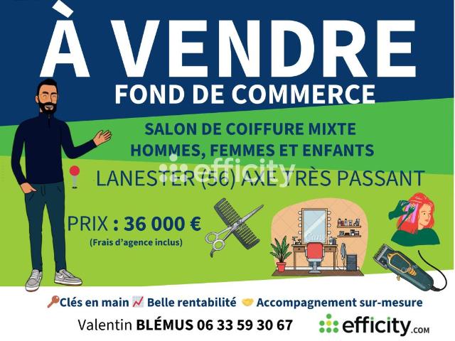Commerces/Negoce