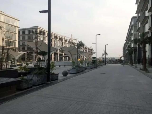 Commercial Building for sale Lahore Shadbagh ID 60594