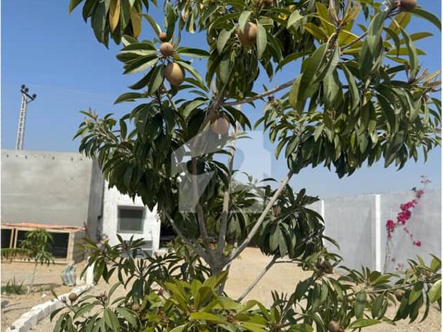 Commercial Farm House In Avenue New Town For Sale
