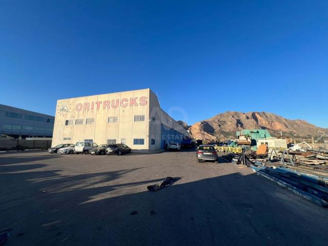 Commercial for rent in Alicante / Alacant city, Alicante