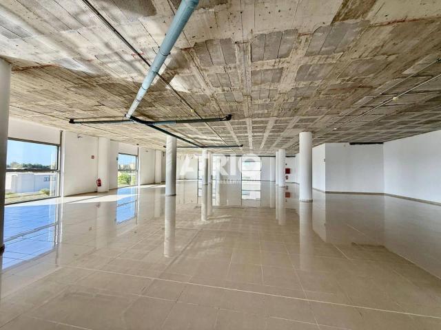 Commercial for rent in Palma de Mallorca, Mallorca