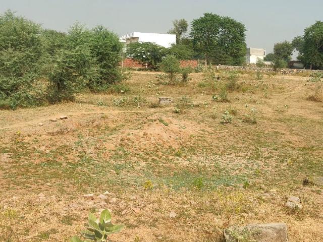 Commercial for Sale in Jaipur, Rajasthan, Ref# 202091361