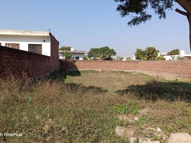 Commercial Industrial Plot 500 Sq. Yd. in Aerocity Mohali Listing ID: #10337