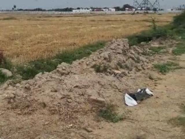 Commercial Industrial Plot 15000 Sq. Yd. in Sikri Faridabad Listing ID: #10278