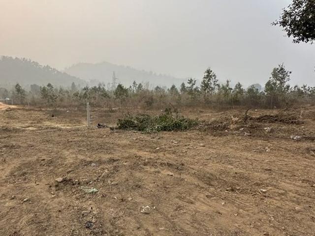 Commercial Industrial Plot 22 Acre in Raipur Rani Panchkula Listing ID: #9902