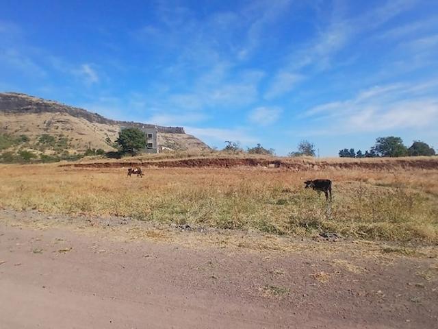 Commercial Industrial Plot 365 Sq. Yd. in Trimbak Road Nashik Listing ID: #10318