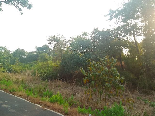 Commercial Land 1089 Sq.Ft. In Chirle Navi Mumbai Listing ID: #10009