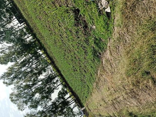 Commercial Land 18000 Sq.Yd. In Nh 1 Ambala Listing ID: #10216