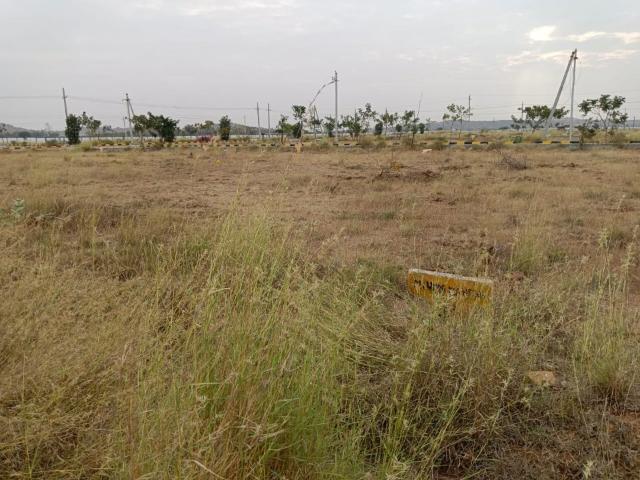 Commercial Land 238 Sq.Yd. In Hampapuram Anantapur Listing ID #8753