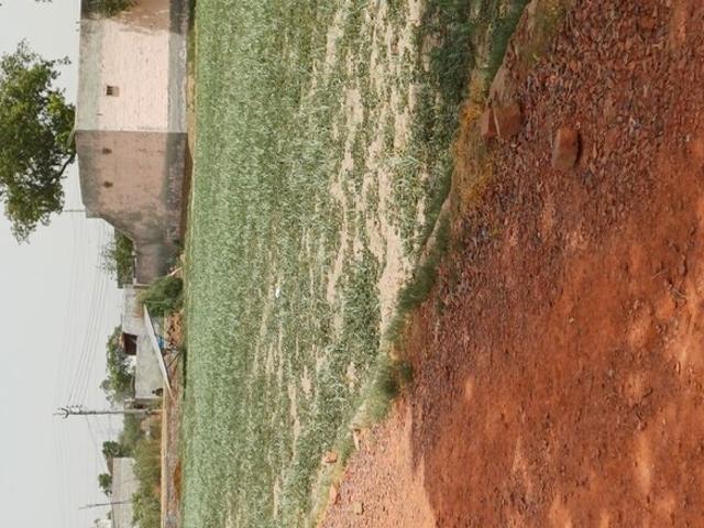 Commercial Land 2400 Sq.Yd. In Sector 83 Faridabad Listing ID: #10401