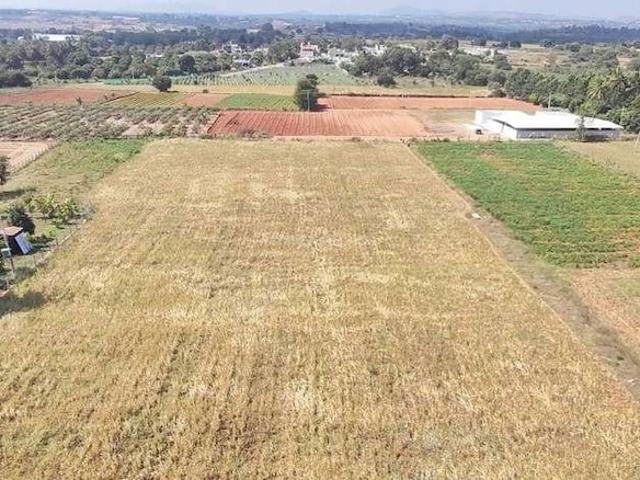 Commercial Land 24 Acre in Kempegowda Layout Bangalore Listing ID: #9970