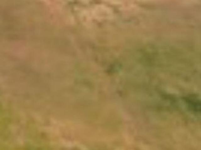 Commercial Land 300 Sq.Yd. In Guru Arjan Dev Nagar Ludhiana Listing ID: #10384