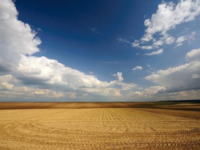 Commercial Land 7 Acre in Tumkur Road Bangalore Listing ID: #9965
