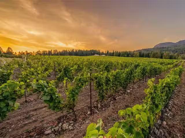 Commercial Land for sale in Duncan, Sl1 North Rd, 1030568