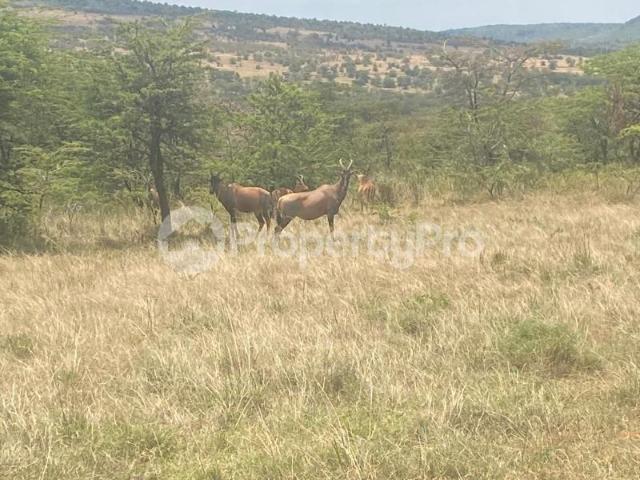Commercial Land for sale Mara Narok PID: 6AZZG | PropertyPro