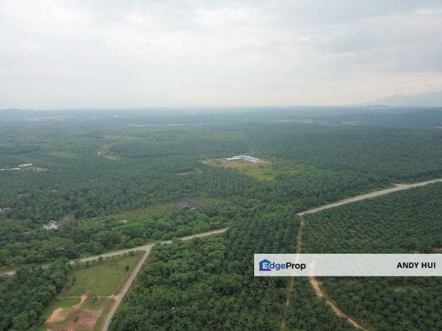 Commercial land for Sale