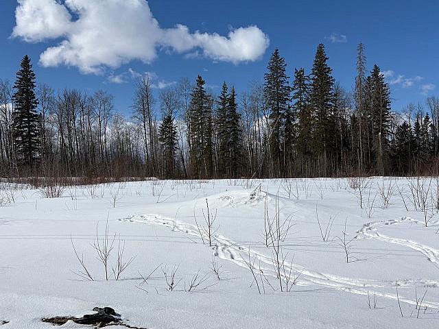 Commercial Lot/acreage/land For Sale