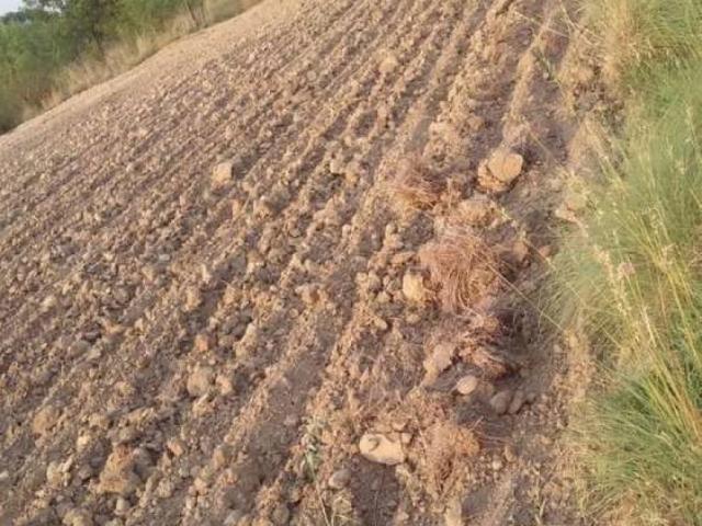 Commercial Plot 3km from Pindi Gheb city. Attock ID 12918
