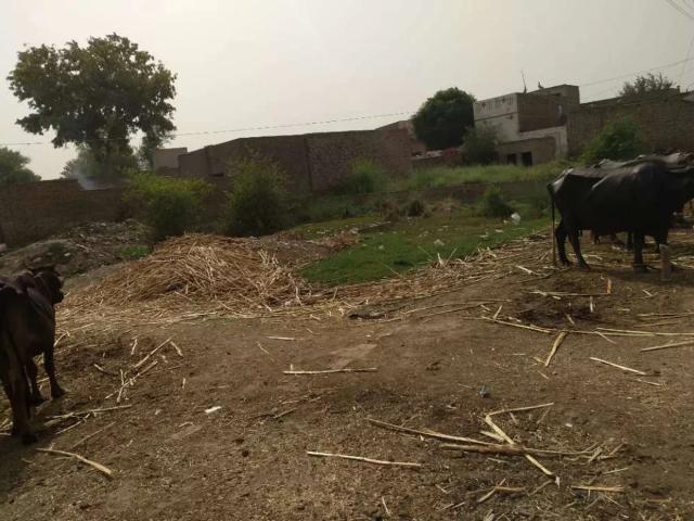Commercial Plot for sale at Ghosia abadi Ada khoi Pakpattan ID 24011