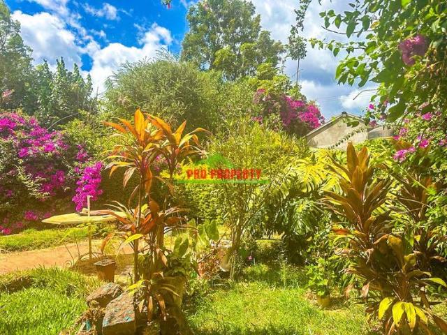 Commercial Plot for Sale in Kinoo 87