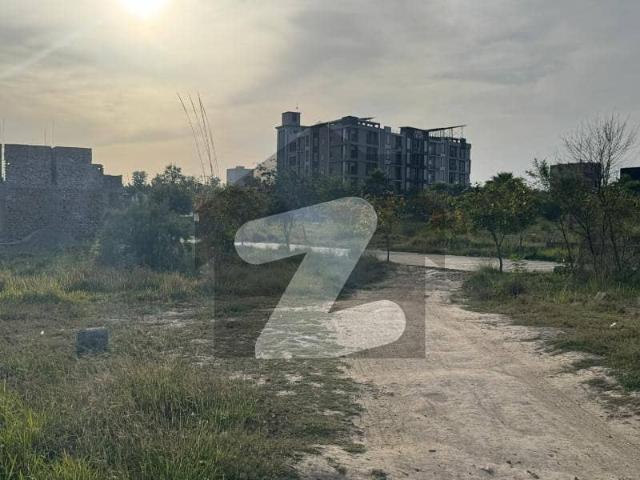 Commercial Plot For Sale Zamar Valley Islamabad