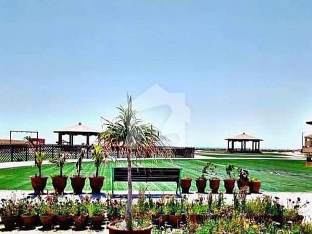 Commercial Plot In Gwadar