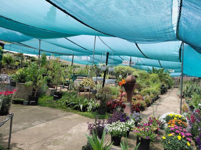Commercial Property in Nigel Central For Sale