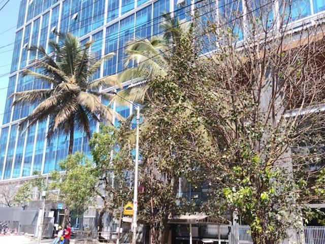 Commercial Shop 900 Sq.Ft. In Panduranga Nagar Bangalore Listing ID: #9920
