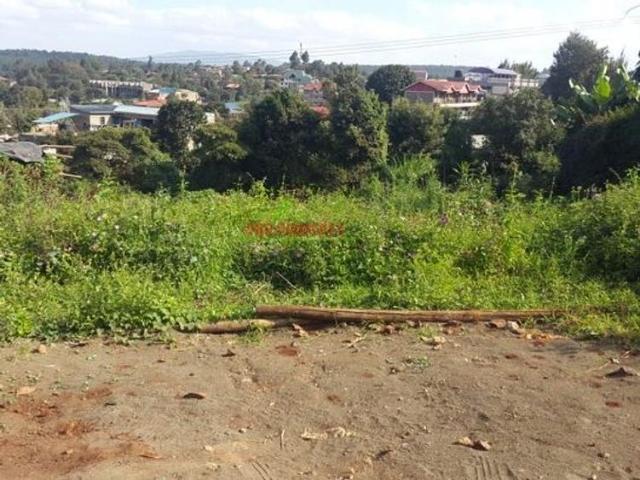 Commercial 50 By 100 Ft Plot For Sale In Kikuyu Thogoto