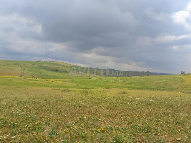 Commune Ouled Bougadi Douar Ouled Beni Mansour