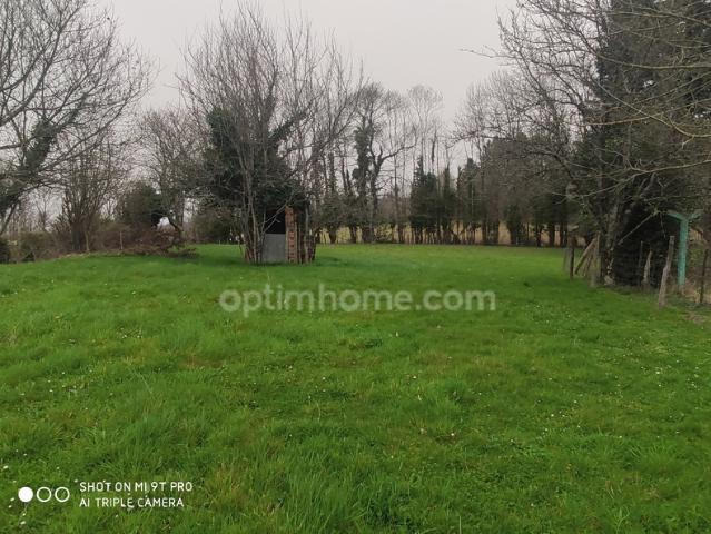 Commune de Mazerolles, L'Arbre. Beau terrain arboré avec CU de 1620 m²