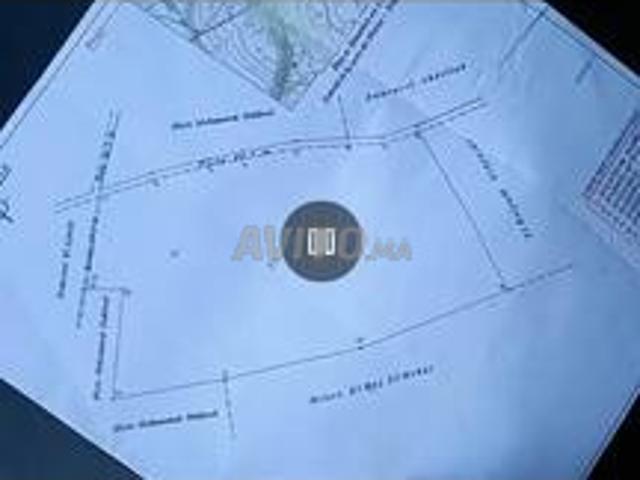 Commune haouzia jdida