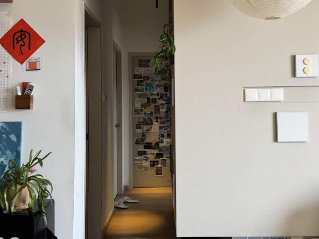 Compact Single Room