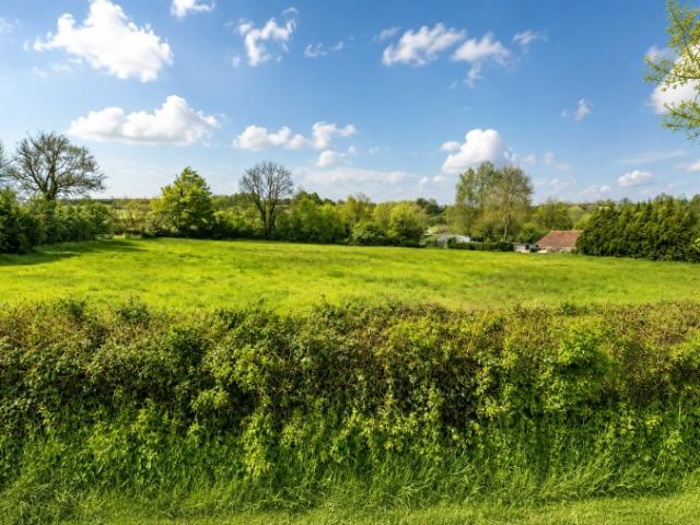 Compainville Vente Terrain 76