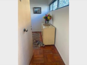 ¡Comparto Departamento en Etchevers Alto! Pet Friendly