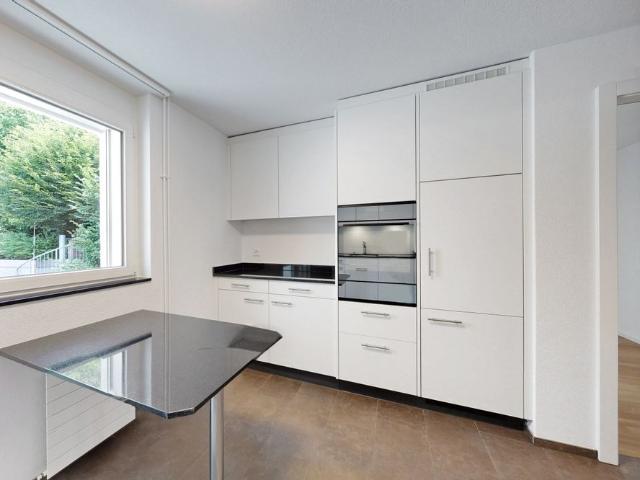 Completely renovated apartment with evening sun