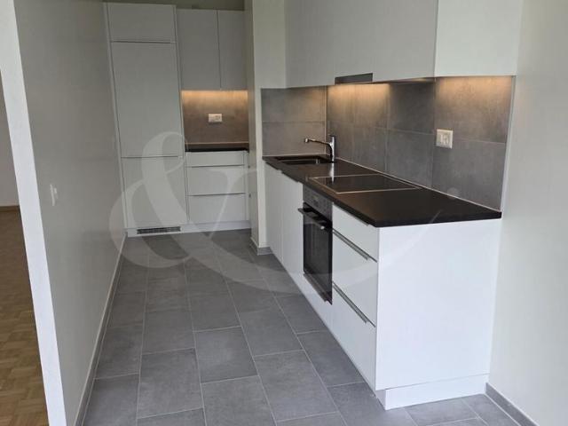 Completely renovated, bright and modern apartment, ideally located in Vernier
