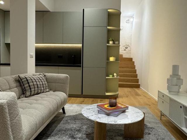 Completely renovated house in Meyrin