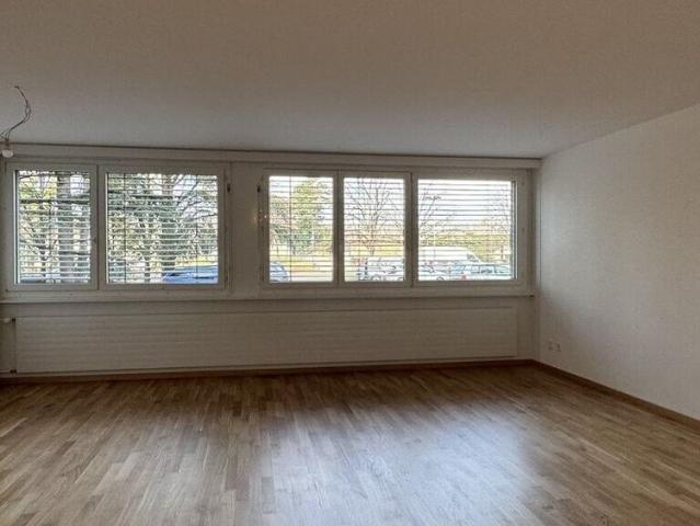 Beautiful Studio – 1st month rent offered