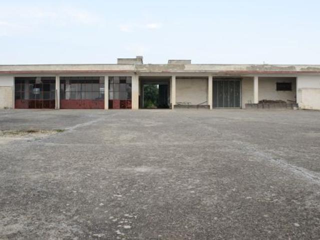 Complesso rurale con deposito piazzale e uliveto panoramico