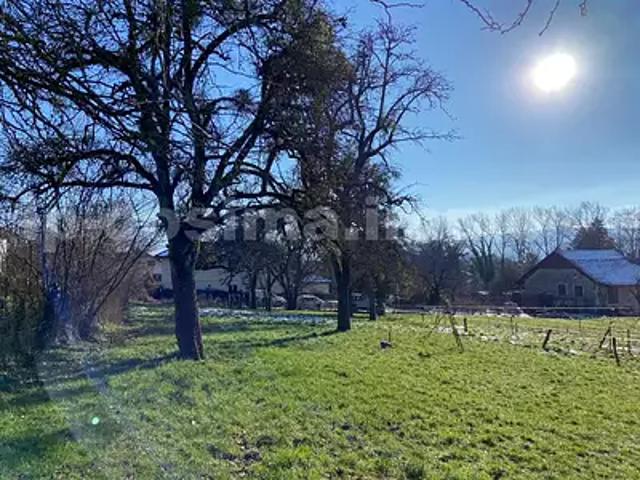 Contamine sur Arve 74130 Achat / Vente terrain