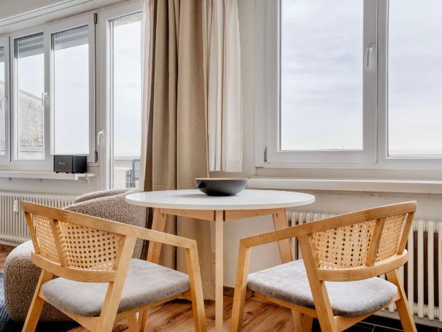 Contemporary Furnished Studio Apartment in Gundeldingen, Basel Amsterdam Apartments for Rent